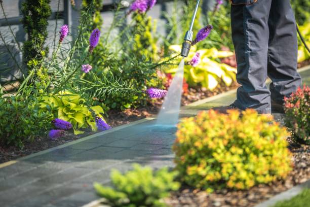 Best Restaurant Pressure Washing  in Manchester, MI